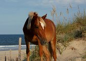IMG_0040