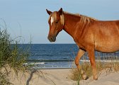 IMG_0049