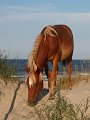 IMG_0055