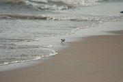 IMG_9589