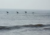IMG_9591