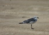 IMG_9632