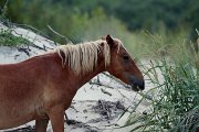 IMG_9693