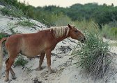 IMG_9701