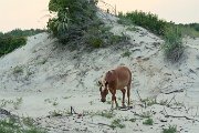 IMG_9707