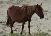 IMG_9792